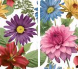 D.FLORAL/R 3259x2
