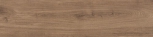 COGNAC 29,4x120