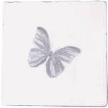 Dec Butterfly Gris Prov Blanco 10x10