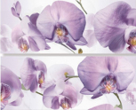 Decor Orquidea Berenjena 2x20x50
