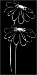 Decor Blancos Flor Noir 30x60 