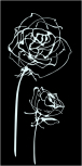 Decor Blancos Roses Noir 30x60 