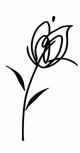 Decor Blancos Tulipan Blanco 30x60 