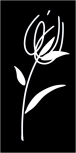 Decor Blancos Tulipan Negro 30x60 