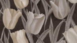 Flos 50100
