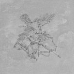 Decoro Aquila Arenal 49x49 