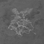 Decoro Aquila Fuligo 49x49 