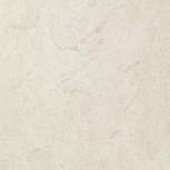 Desert White 59x59 RT Brillante