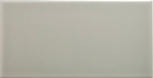 ADNE1094 Liso PB Silver Mist 10x20