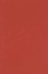 DS71 Minimal Rojo 25x38