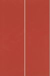 DS75 Bp-Minimal Rojo 25x38