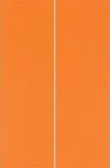 DS76 Bp-Minimal Naranja 25x38