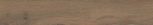   ALNUS TERRA 15x90 