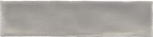 Argento 7,530