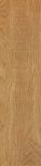 Eko Biondo R1WE 12.5x50