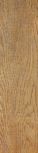 Eko Esterno Noce R1WZ 12.5x50