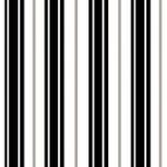 Декор A1 NERO 12,5х12,5