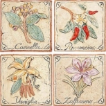 Decoro Spezie (/4) 1010