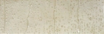   Drops White A 25x75 