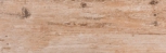   CASTLE COCOA 20x60