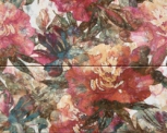   Composicion Solano Hot 40x50