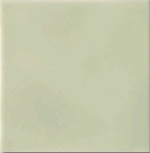 Essenze Felce 13x13