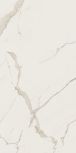 ALBATROS 60120 Rectified Parlak Nano 