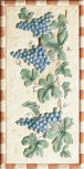 Formella Grappoli Rosso 20x40 