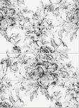 Frunce-4 S4 25x75  