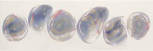 Glass2 26Mix 2060