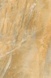 Dome Gold 20x40 