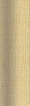 Gold Zocalo Mate 5x31,6 