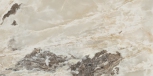 Golden Blend Satin 60x120