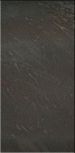 Goldeneye Dark 25,1x50,5  