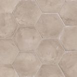 Grigio Essagono 25x21.6