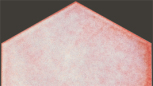 Half Bouganville 13,8x23,9