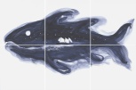 Il Pesce Celeste 60x40