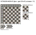 OCTAGON4429+01 dots 11 