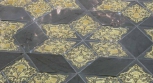 Phorma T3D Bardiglio Gold 