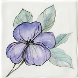 Jardin Viola 10x10