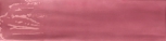 Pitaya 10 &#215; 40