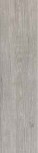 Jungle Light Grey 15x61