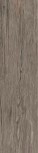Jungle Mad 15x61