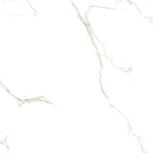 STATUARIO WHITE 60x60