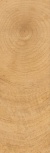 Honey 20x60  K-6012/SLR