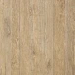 Axi Golden Oak Lastra 20mm 60x60
