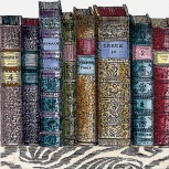 Libreria 20x20 