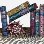 Libreria 20x20 