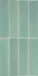 Limit Menthe 6x24.6
