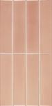 Limit Rose 6x24.6